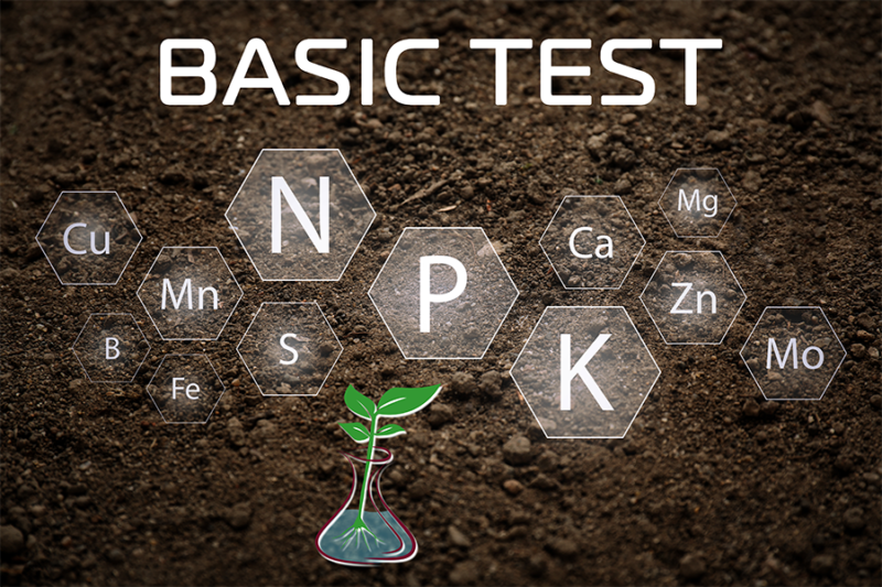 Basic Soil Nutrient Test – AgriTest